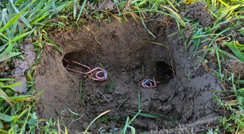 Deux pièges a taupe putange par taupinière